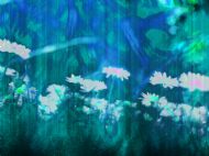 daisies in blue